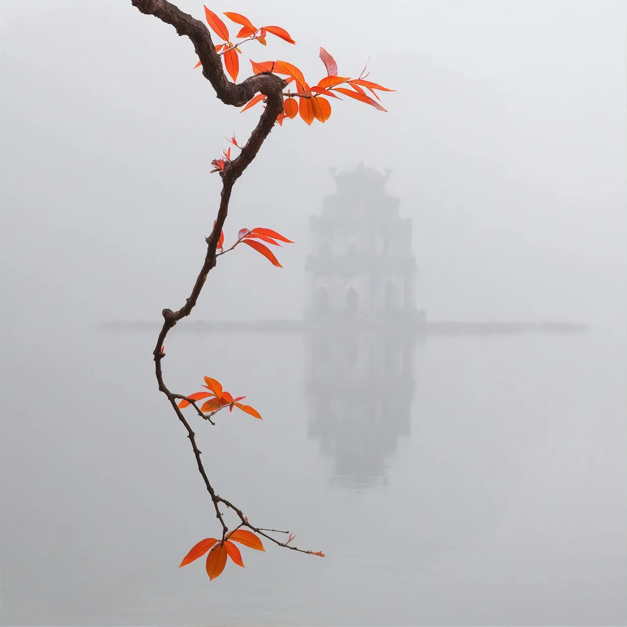 30000+ Viet Nam & ảnh Việt Nam miễn phí - Pixabay