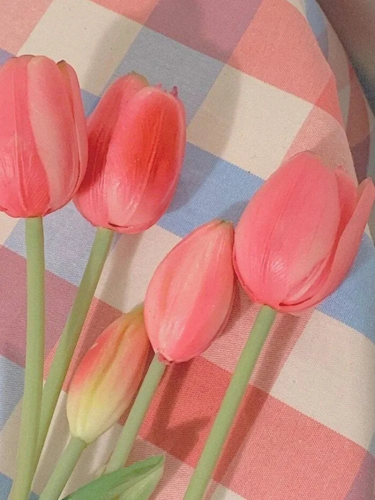 100+ hình nền hoa tulip Full HD 4K cực trang nhã thanh lịch | Yody