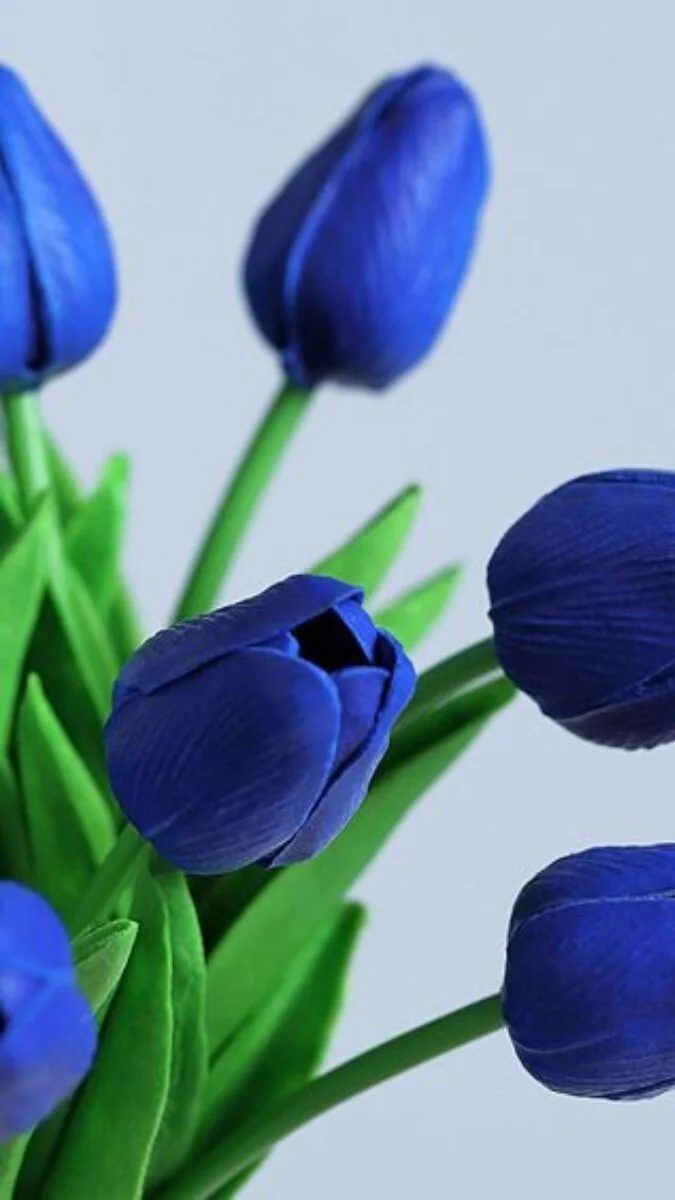 Ảnh nền hoa Tulip xanh 4k (4)