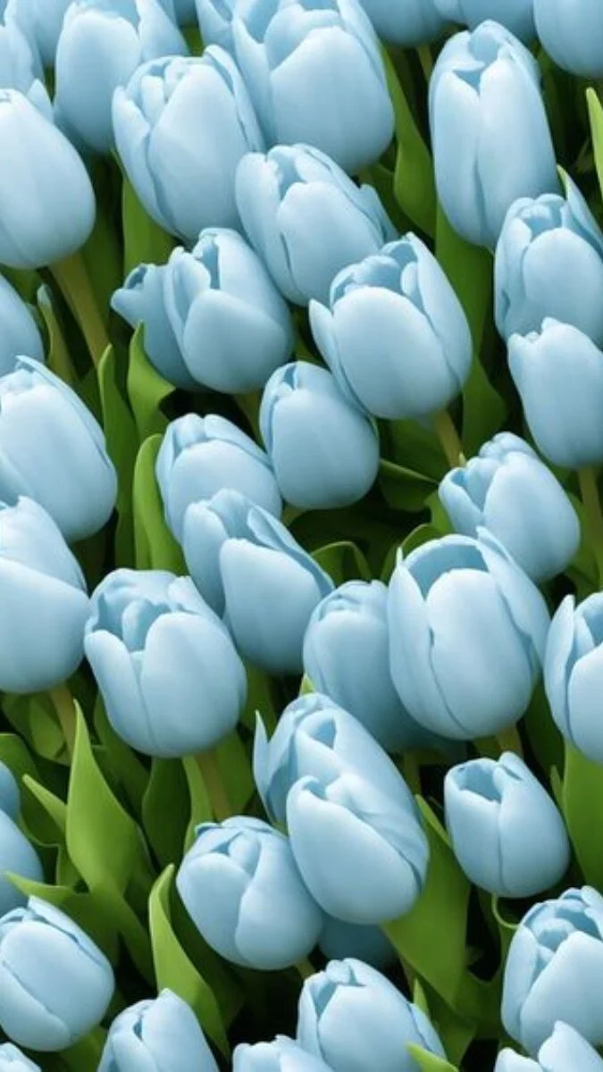 Ảnh nền hoa Tulip xanh 4k