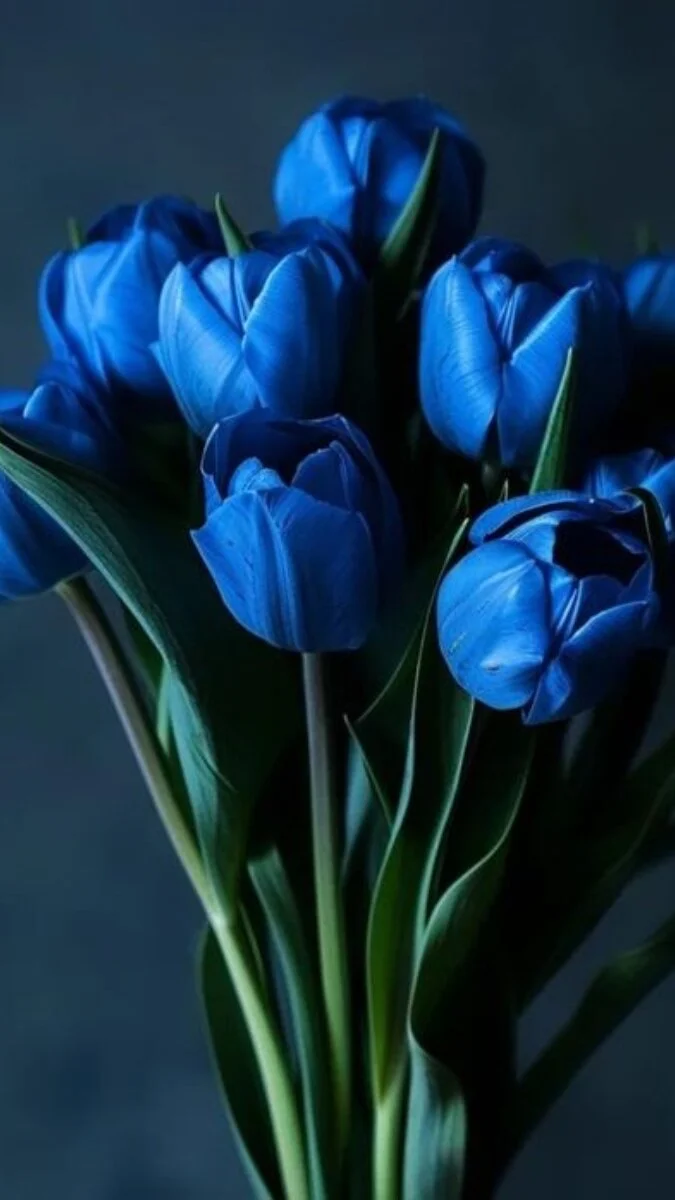 Ảnh nền hoa Tulip xanh 4k (7)