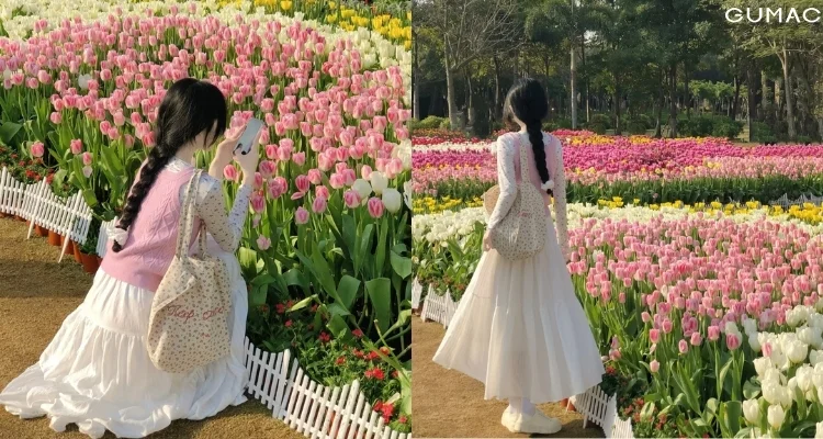 20 Kiểu tạo dáng chụp ảnh hoa tulip xinh xắn và dễ áp dụng cho nàng mê sống ảo