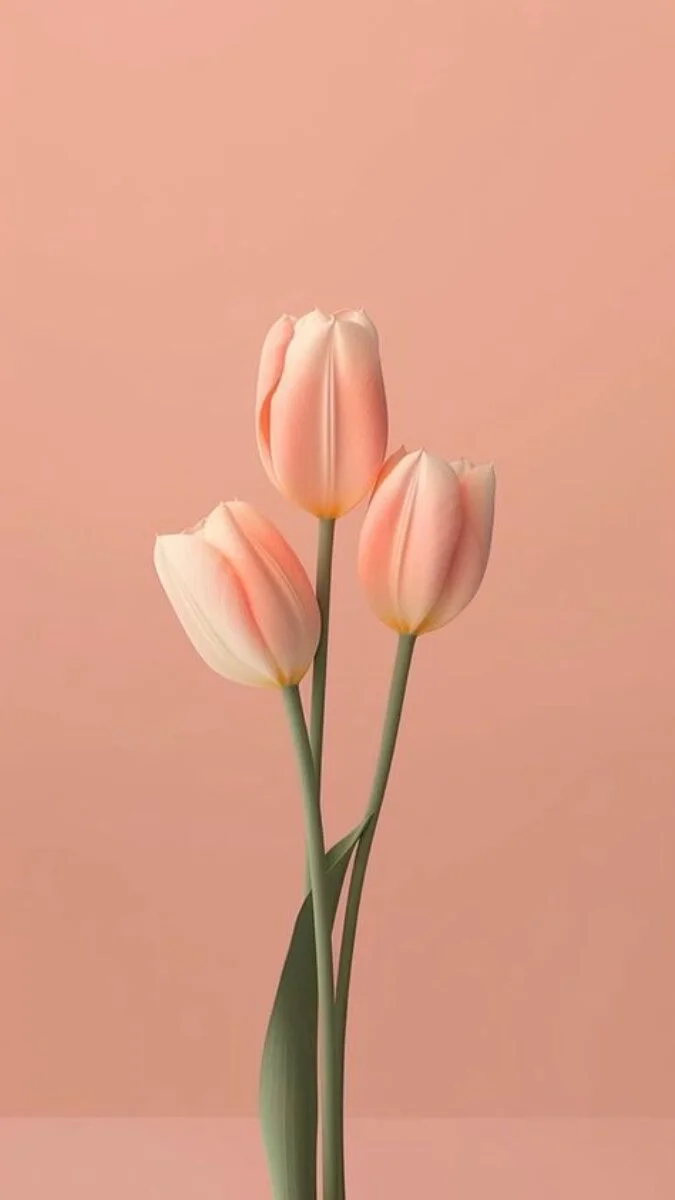 Ảnh nền hoa Tulip màu hồng 3D cho iPhone (8)