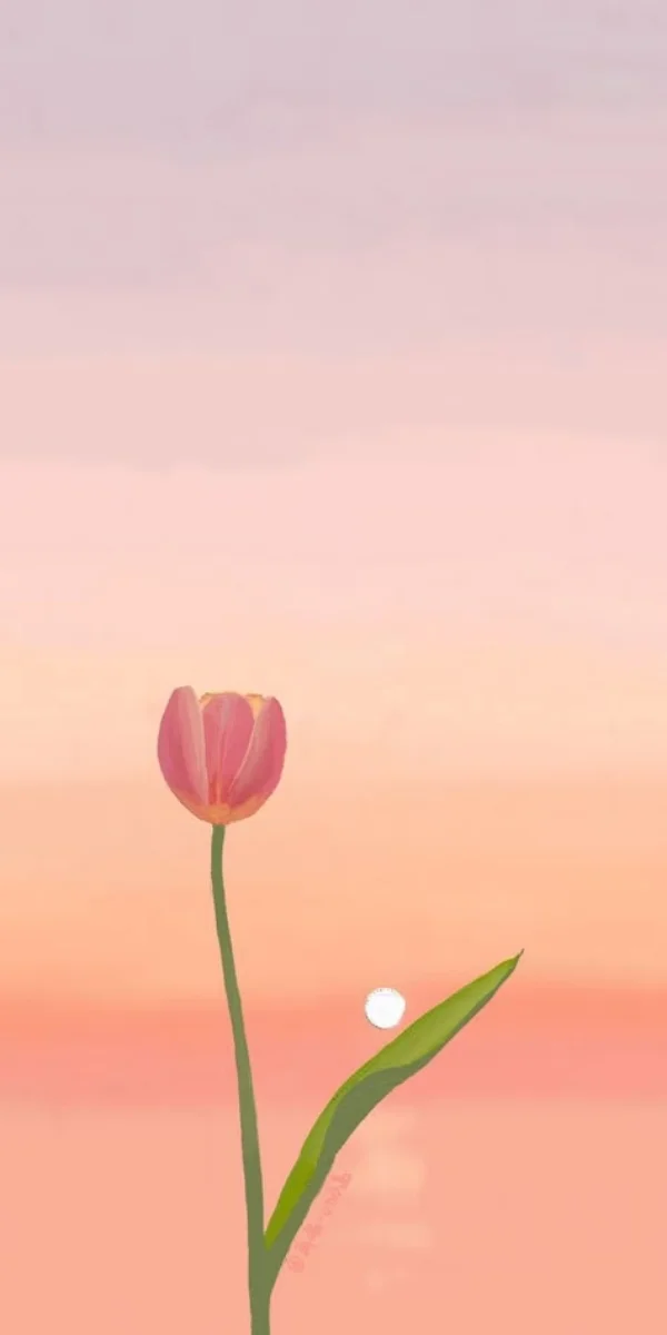 Một bông hoa tulip hồng đơn độc trên nền trời hoàng hôn pastel