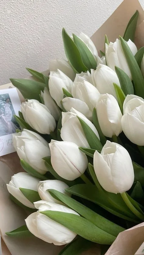 799+ Hình nền hoa tulip full hd 4K chill cute đẹp nhất miễn phí
